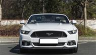 Ford Mustang GT 5.0 Convertible photo 2
