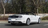 Ford Mustang GT 5.0 Convertible photo 4